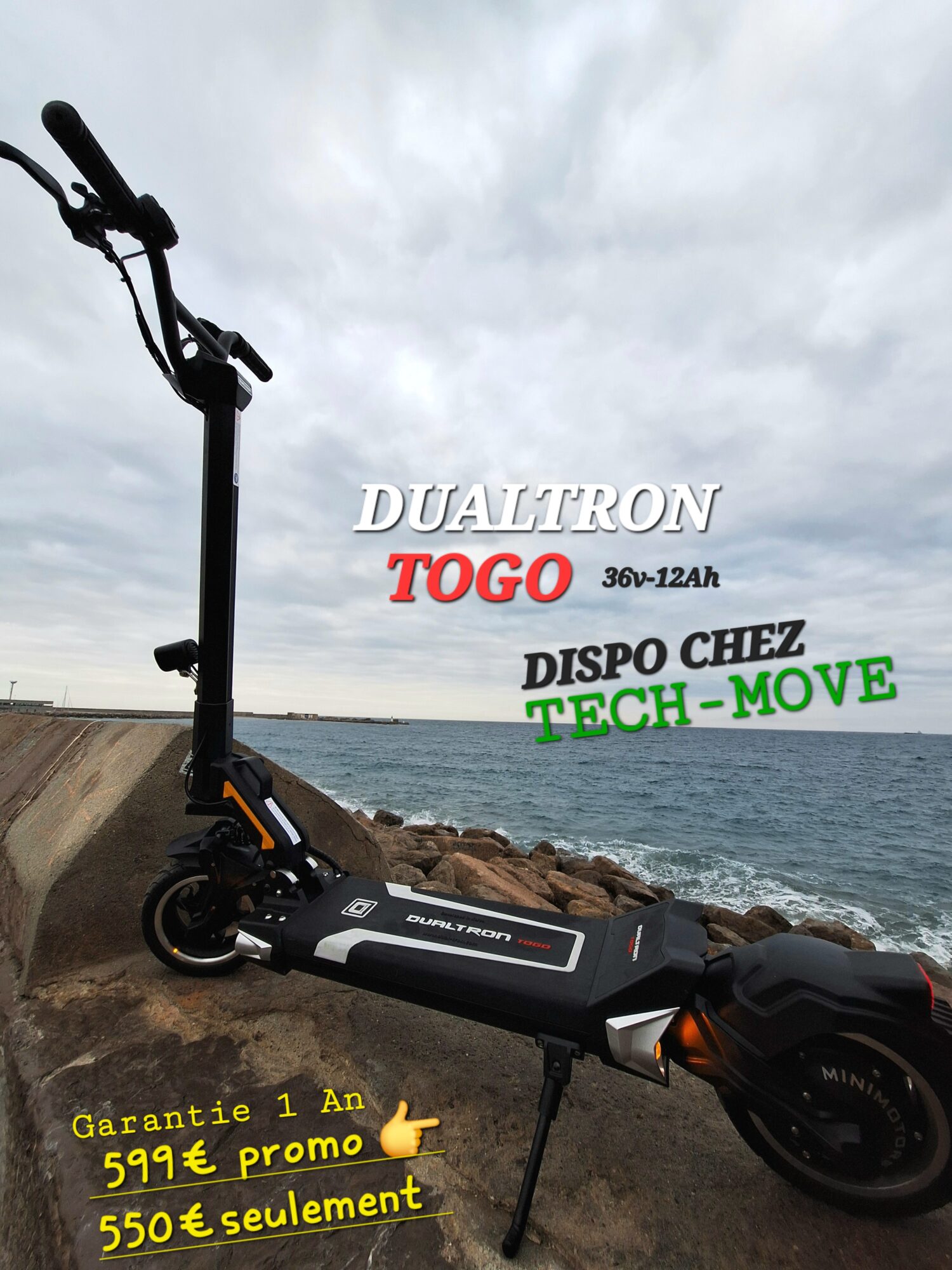 Trottinette électrique Dualtron Togo